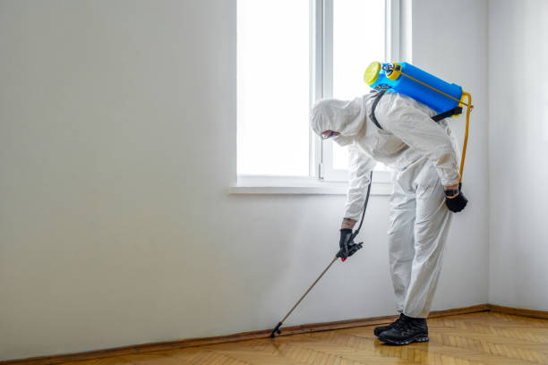 Best Pest Prevention Services  in Willard, OH